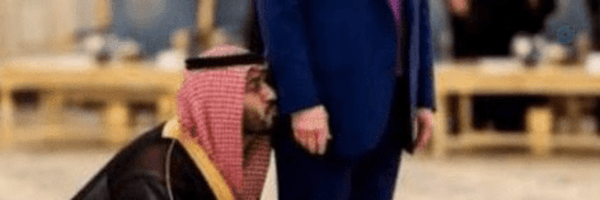 ‌علیرضا لطفی‌'s header picture