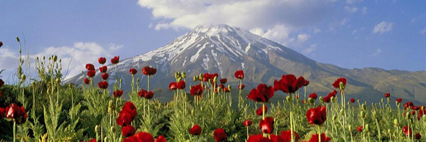 ‌سیدحمیدرضا اعرابی‌'s header picture