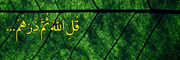 ‌محمد مهدی خالقی‌'s header picture