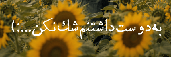 ‌ن.ی‌'s header picture