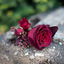 Profile picture of ‌Sadat‌