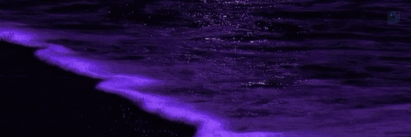 ‌Eys‌'s header picture