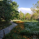 Profile picture of ‌بهرام رجبی‌