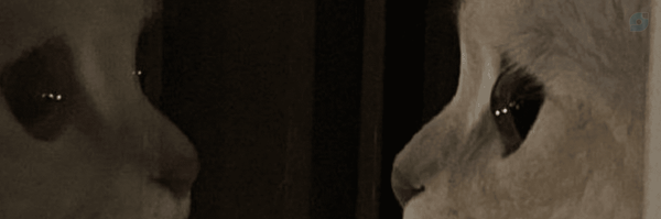 ‌<Fatemeh |فاطمه>‌'s header picture