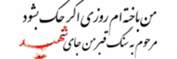 ‌میلاد صادقی‌'s header picture