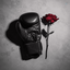 Profile picture of ‌A_Shadow_In_The_Ring‌