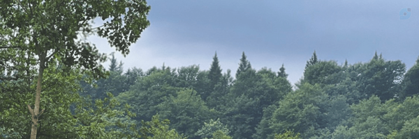 ‌𝑭𝒂𝒕𝒆𝒎𝒆𓍯  ִֶָ‌'s header picture