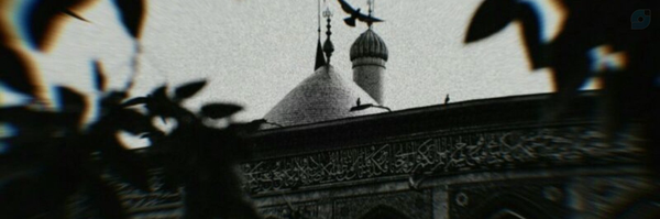 ‌سید علی جعفری‌'s header picture