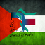 Profile picture of ‌بسیج دانشجویی علوم پزشکی زاهدان‌