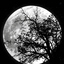 Profile picture of ‌SABEGHI _j‌