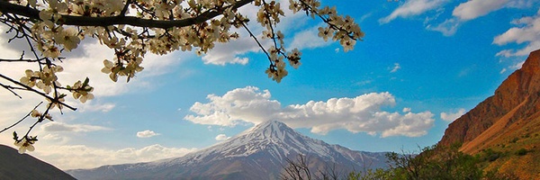 ‌مرتضی خلفی زاده‌'s header picture