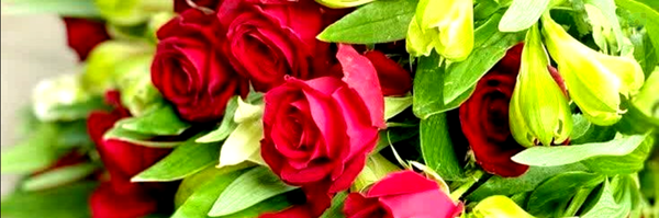 ‌🇮🇷فاطمه لسانی‌'s header picture