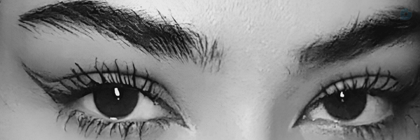‌Zahra‌'s header picture