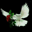 Profile picture of ‌تسنیم مظاهر‌