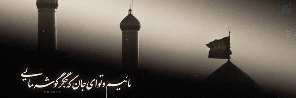 ‌امیرحسین خلیلی نیکو‌'s header picture