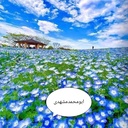 Profile picture of ‌ابومحمد مشهدی‌