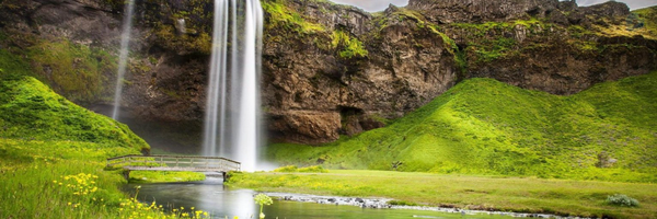 ‌محمد ابراهیم‌'s header picture