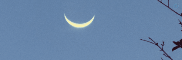 ‌خانم مربی‌'s header picture