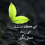 Profile picture of ‌مهدی محمدی‌