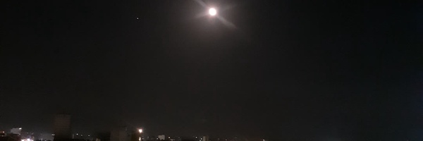 ‌مجید نوین‌'s header picture