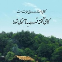 Profile picture of ‌امین غریب‌