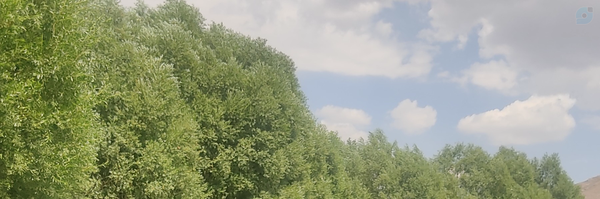 ‌یا حسین یاسین‌'s header picture