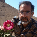 Profile picture of ‌روح الله ملامحمدی‌