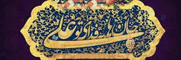 ‌سیده مرجان دبیری‌'s header picture