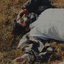 Profile picture of ‌{قتیل العبرات}‌