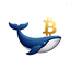 Profile picture of ‌Crypto Whale‌