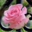 Profile picture of ‌user1748160324907061204 Sh‌