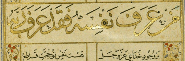 ‌SinaHomayoun‌'s header picture