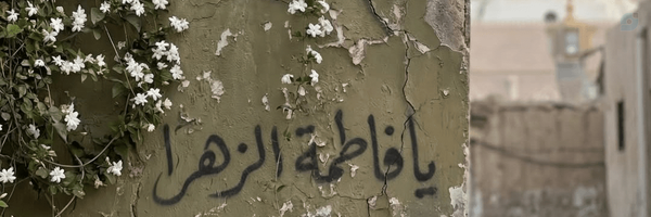 ‌- خانومِ الف .‌'s header picture