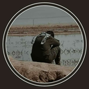 Profile picture of ‌Ameir hossein‌