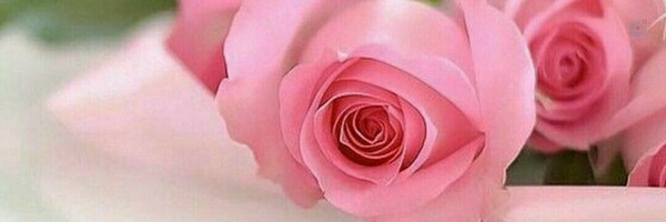 ‌دختر آسمانی‌'s header picture