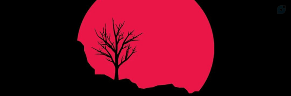 ‌M T‌'s header picture