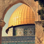 Profile picture of ‌علی رضا‌