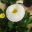 Profile picture of ‌Ee ‌pn‌