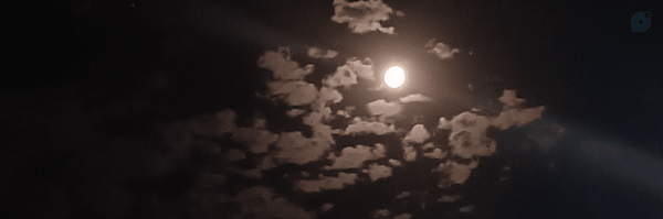 ‌استاد شیفو‌'s header picture