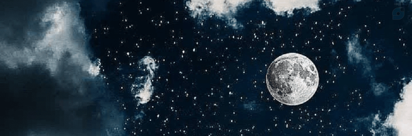 ‌زهره صالحی🎒‌'s header picture