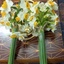 Profile picture of ‌زهره مقدسی‌