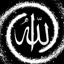Profile picture of ‌آمنه سلمانی‌