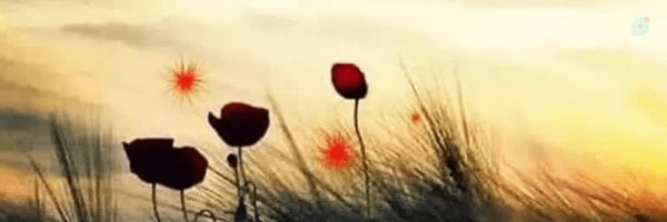 ‌فرهادی‌'s header picture
