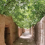 Profile picture of ‌علیرضا ابراهیمی پور‌