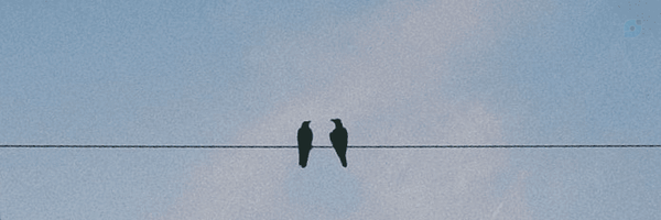 ‌Mew‌'s header picture