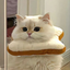 Profile picture of ‌Tanaz | طناز‌
