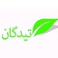 Profile picture of ‌تیدگان‌