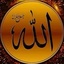 Profile picture of ‌سیاوش مشرقی‌