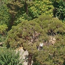 Profile picture of ‌جلال صالحی مبین‌