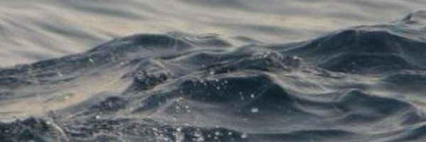 ‌𝑺𝒐𝑮𝒐𝒍‌'s header picture